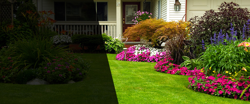 Angie Landscapers