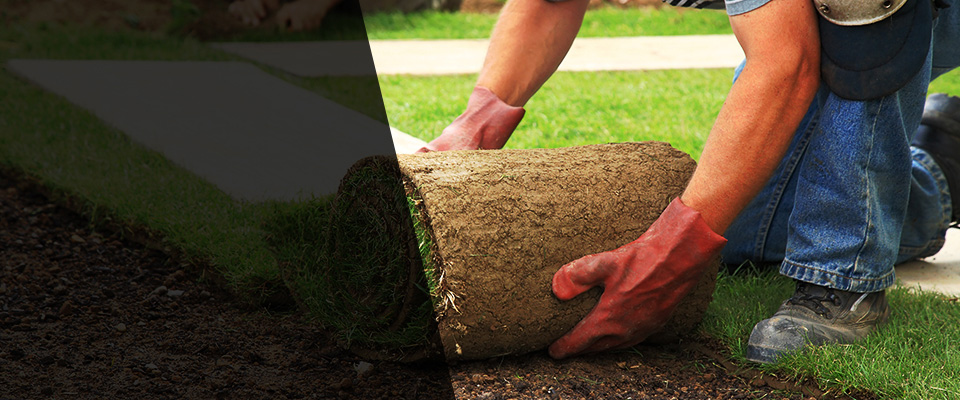 Angie Landscapers